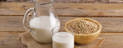 9 Plant Milk Alternatives To Power Your Day
